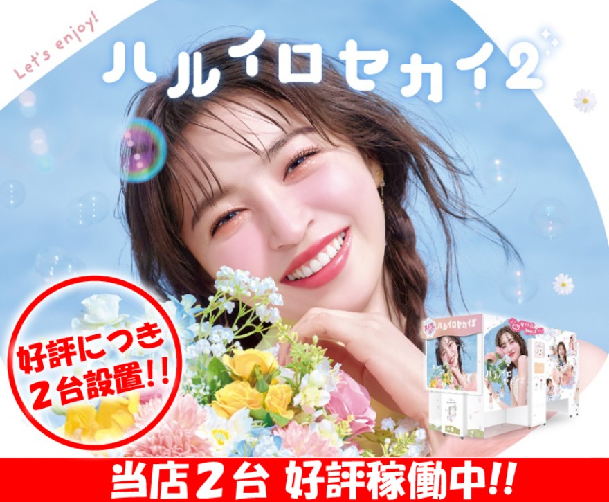 ピックアップ画像