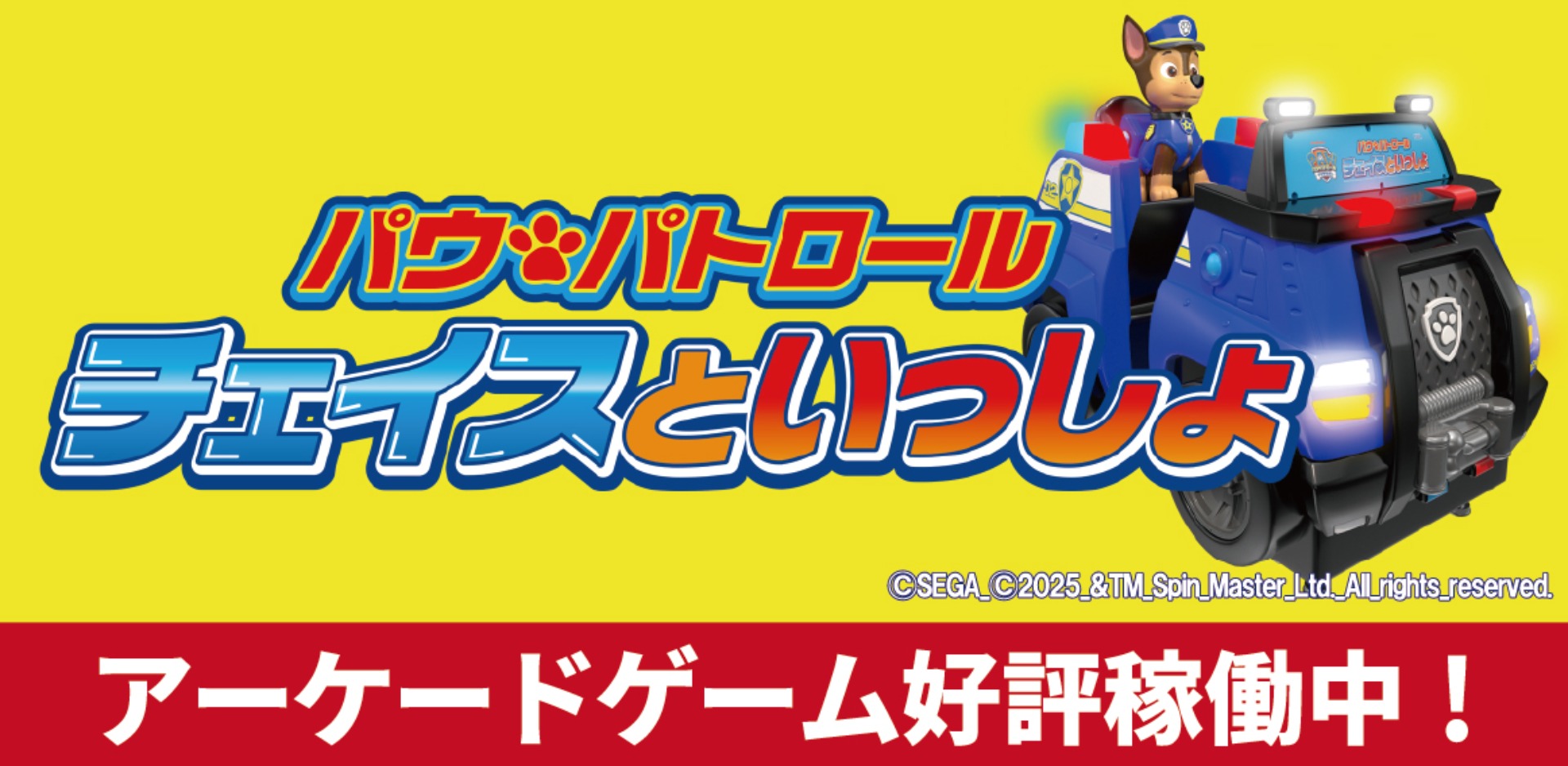 ピックアップ