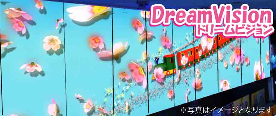 ドリームビジョン写真