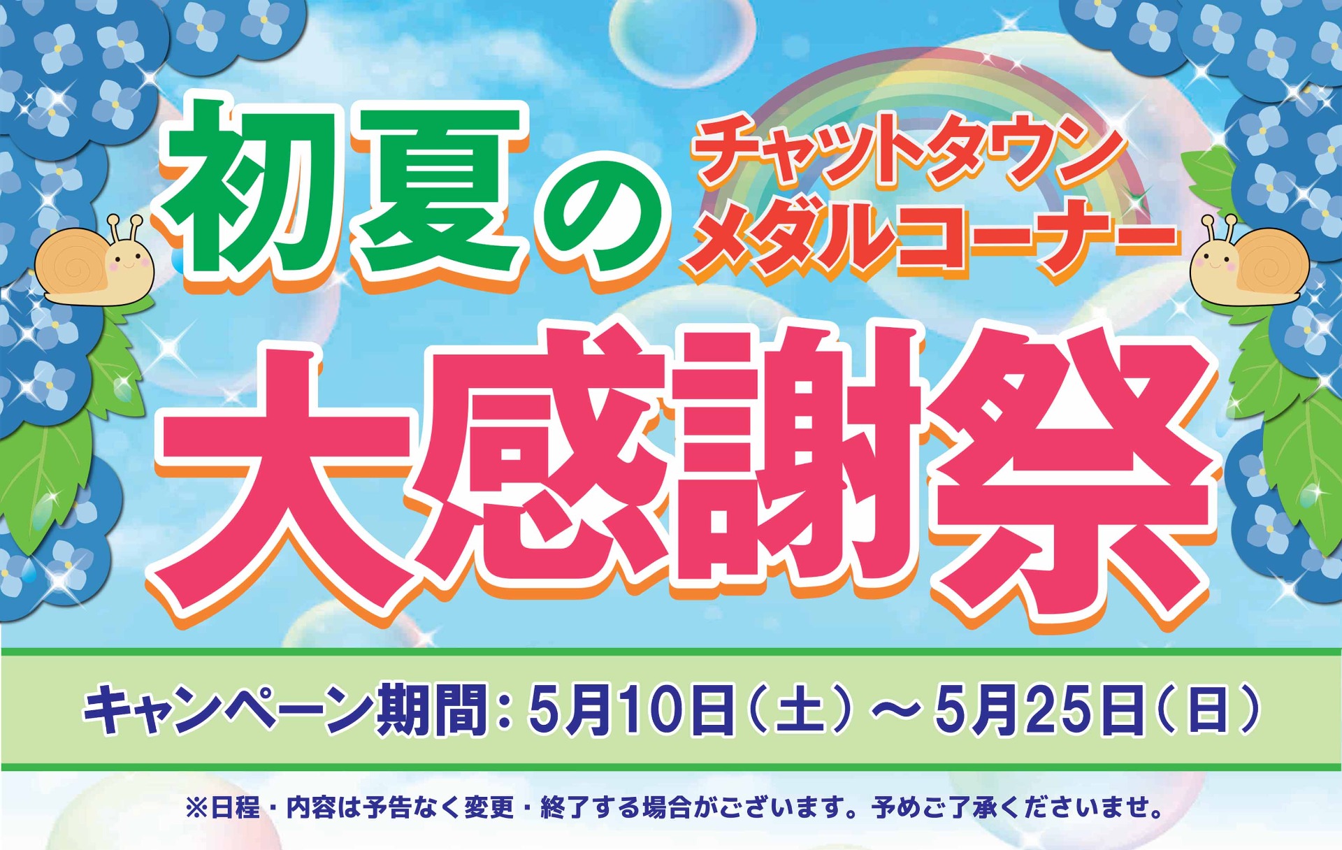キャンペーン情報